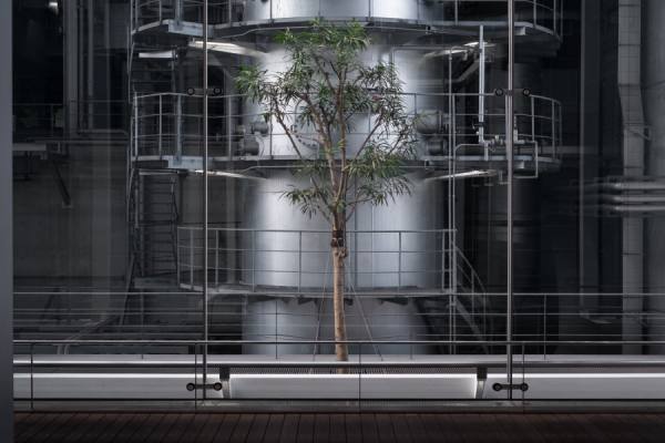 Photograph Yasuhiro Sakuda Plant on One Eyeland